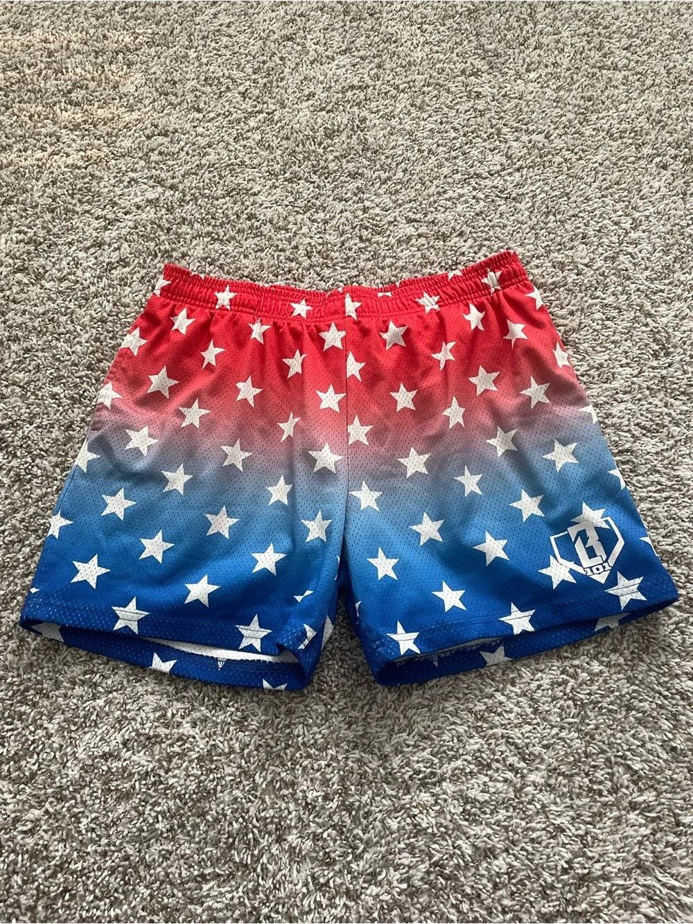 Baseball Lifestyle 101 Freedom Mesh Shorts Men’s Large B101